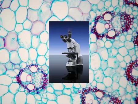 Training gebruik microscoop